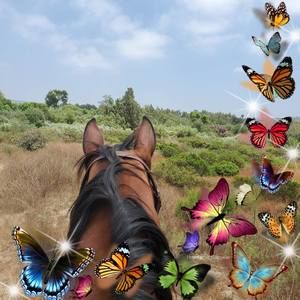 Meet your Posher, Vicki